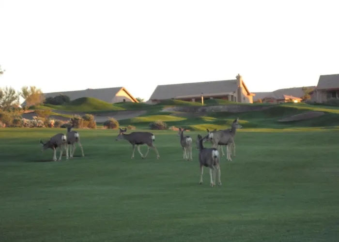 Gold Canyon Golf Resort
